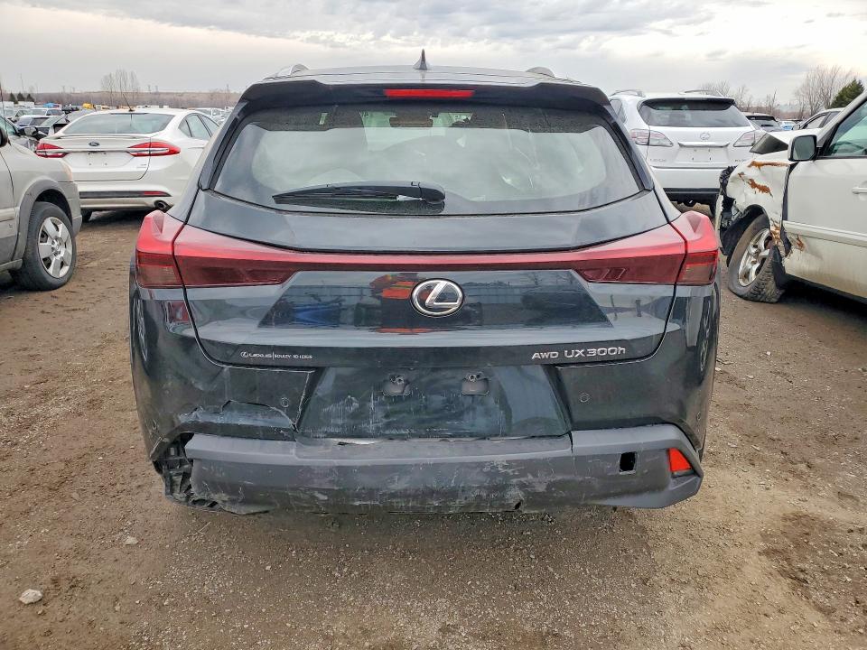 46724936 :رقم المزاد ، JTHUCJDH6S2005997 vin ، 2025 Lexus Ux 300h مزاد بيع