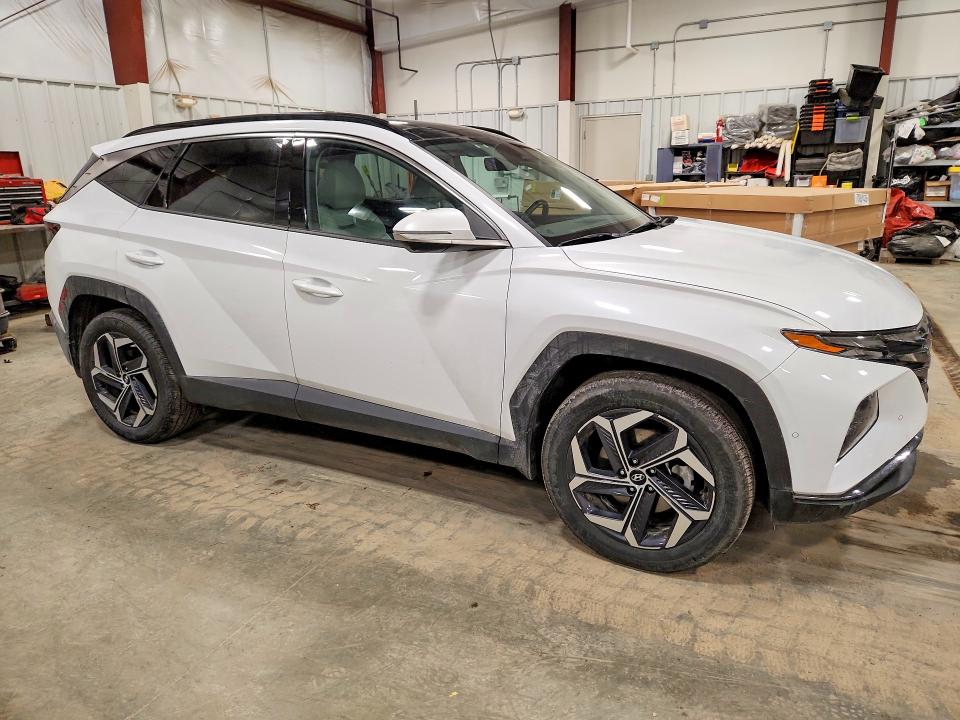 2024 Hyundai Tucson მანქანა იყიდება აუქციონზე, vin: KM8JECD13RU148879, აუქციონის ნომერი: 77549865