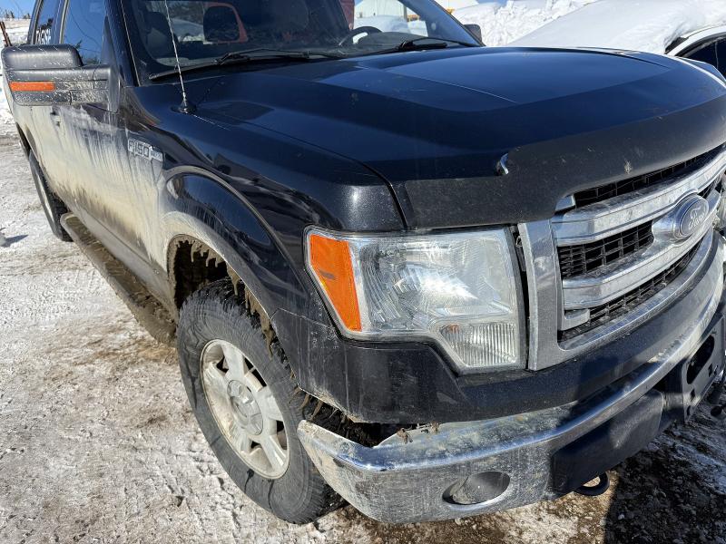 Aukcja sprzedaży 2014 Ford F150, vin: 1FTFW1EF7EFB34147, numer aukcji: 48020706