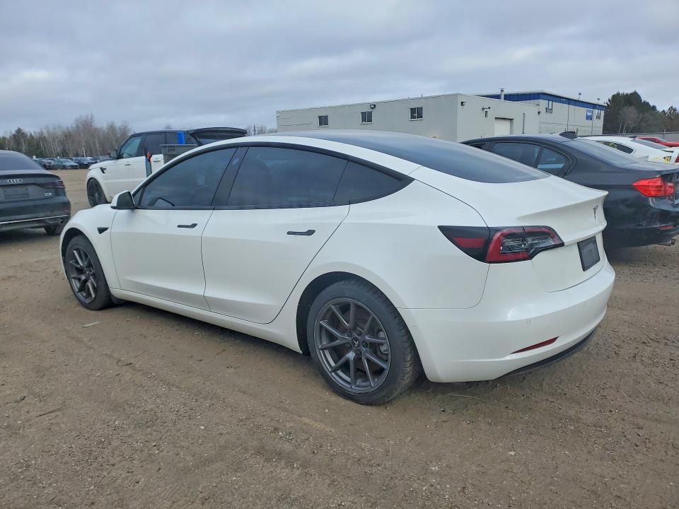 41595926 :رقم المزاد ، 5YJ3E1EA3MF031983 vin ، 2021 Tesla Model 3 مزاد بيع