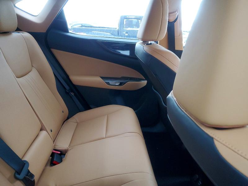 46534216 :رقم المزاد ، 2T2GKCEZ7SC038332 vin ، 2025 Lexus Nx 350 مزاد بيع