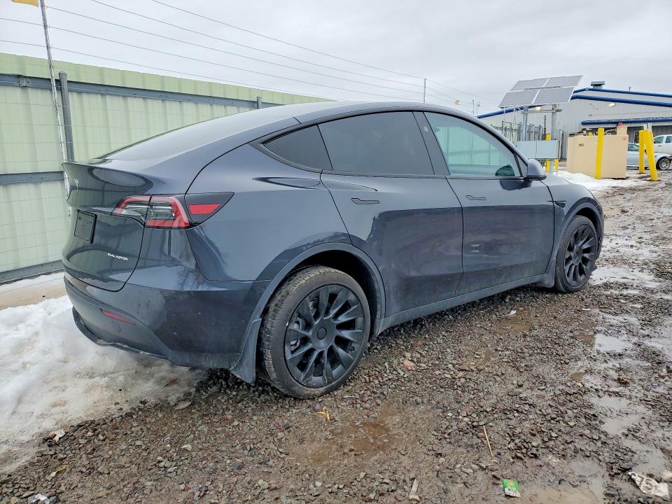 Aukcja sprzedaży 2025 Tesla Model Y, vin: 7SAYGDEEXSF297859, numer aukcji: 41755916