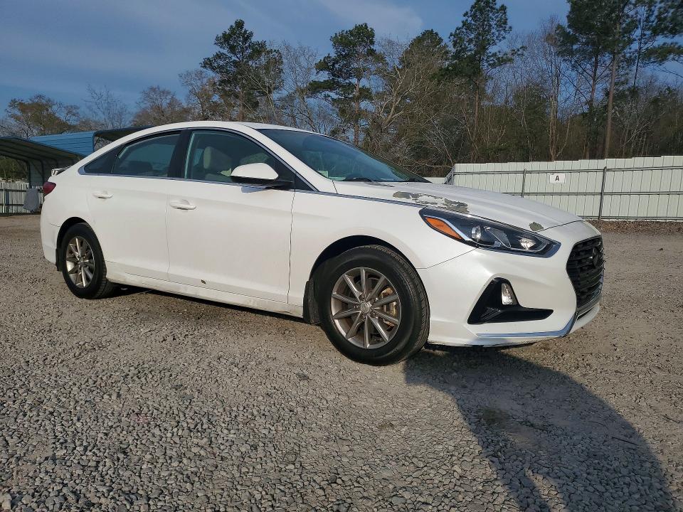 Продаж на аукціоні авто 2019 Hyundai Sonata, vin: 5NPE24AF3KH814918, номер лоту: 45623766