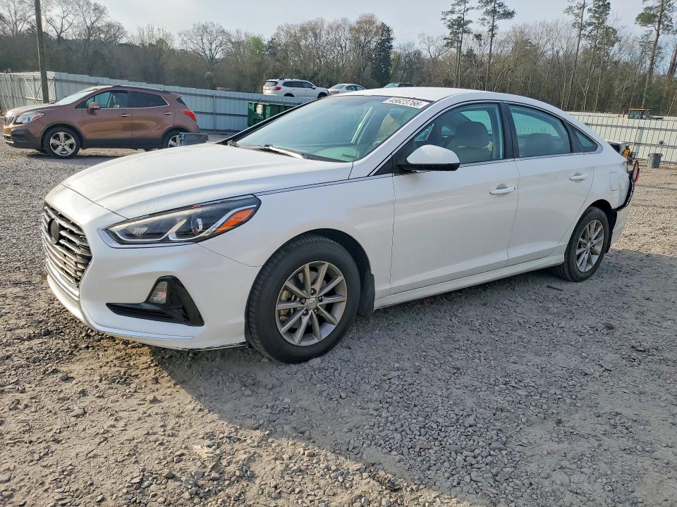 Продаж на аукціоні авто 2019 Hyundai Sonata, vin: 5NPE24AF3KH814918, номер лоту: 45623766