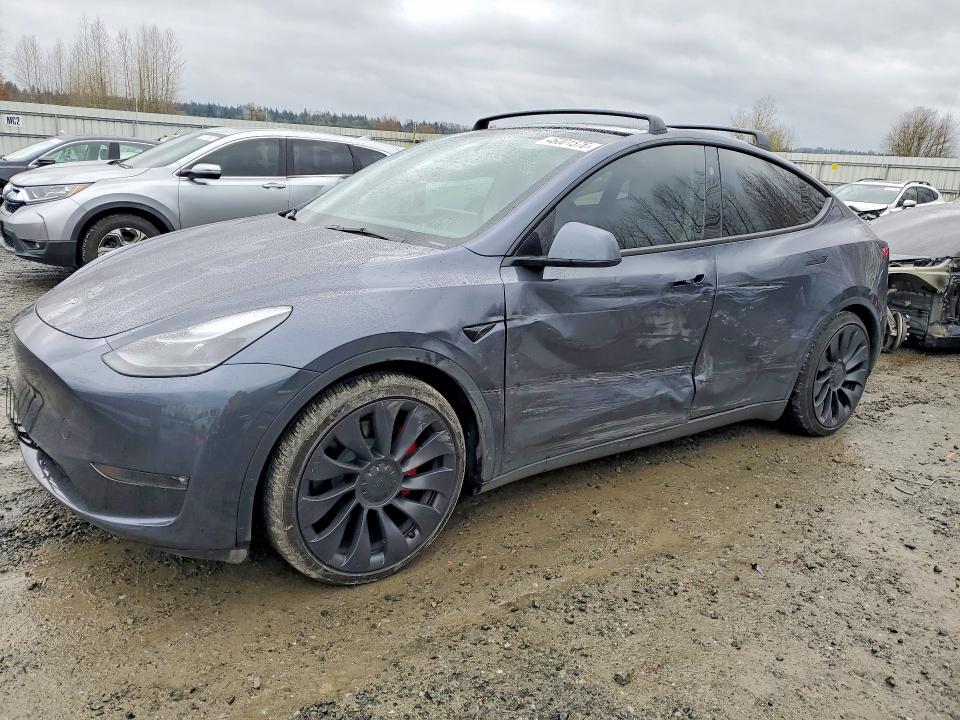 Продаж на аукціоні авто 2023 Tesla Model Y, vin: 7SAYGDEF3PF846785, номер лоту: 46001576