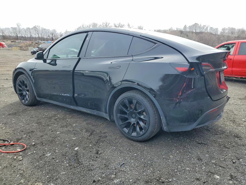Aukcja sprzedaży 2025 Tesla Model Y, vin: 7SAYGAEE5SF243027, numer aukcji: 45631686