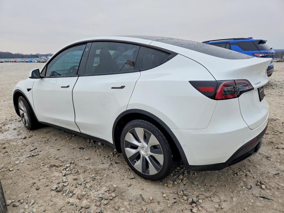 Auction sale of the 2022 Tesla Model Y, vin: 7SAYGDEEXNF354534, lot number: 47296396