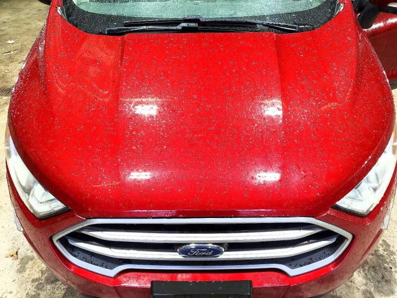 Продажа на аукционе авто 2019 Ford Ecosport, vin: MAJ6S3GL8KC260059, номер лота: 46274116