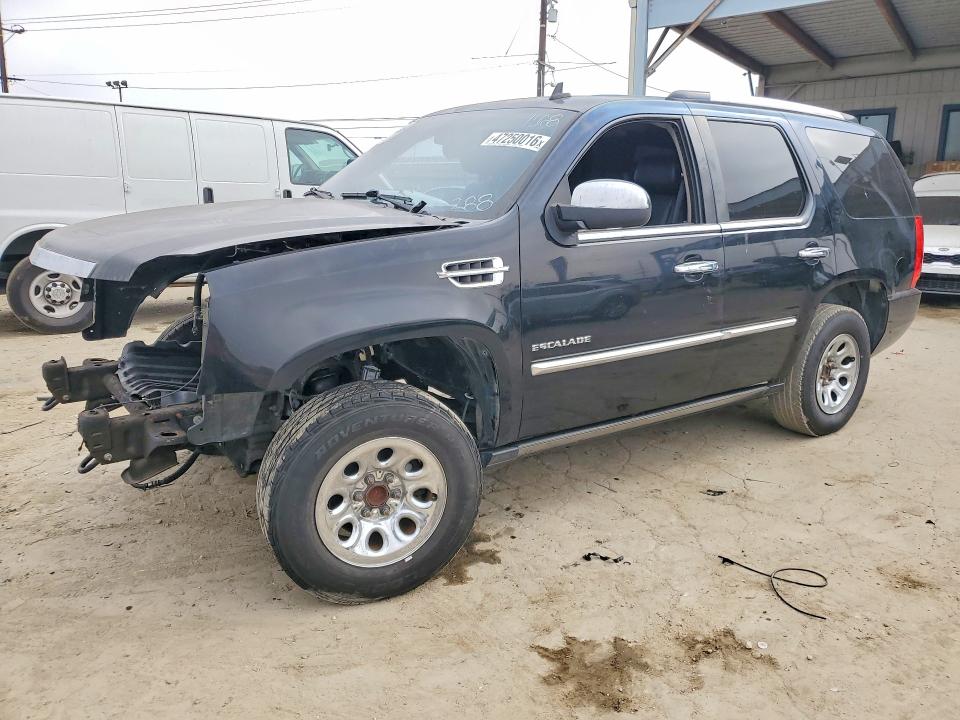 Auction sale of the 2010 Cadillac Escalade, vin: 1GYUCCEF6AR291568, lot number: 47250016