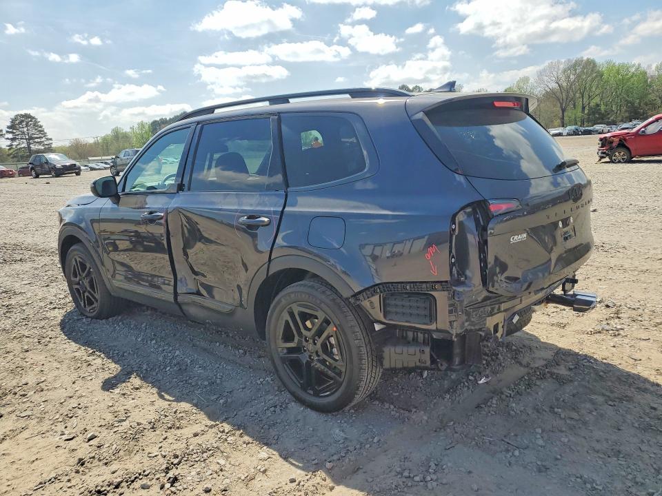 Продажа на аукционе авто 2025 Kia Telluride, vin: 5XYP3DGC2SG725206, номер лота: 48148756