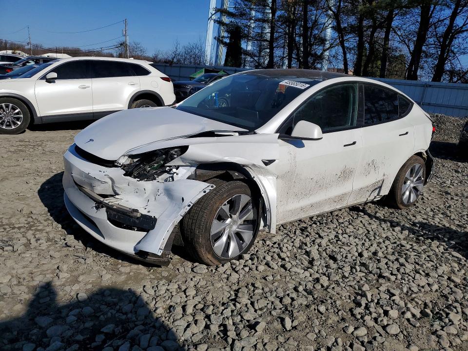 45565016 :رقم المزاد ، 7SAYGDEE8PA173058 vin ، 2023 Tesla Model Y مزاد بيع