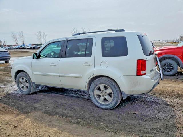47698476 :رقم المزاد ، 5FNYF4H58BB505670 vin ، 2011 Honda Pilot مزاد بيع