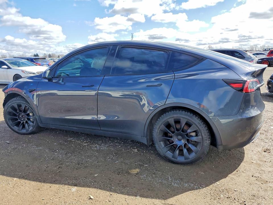 Auction sale of the 2023 Tesla Model Y, vin: 7SAYGDEE4PF584959, lot number: 41873816