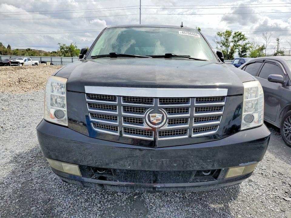Продажа на аукционе авто 2010 Cadillac Escalade, vin: 1GYUCHEF7AR256261, номер лота: 45708466