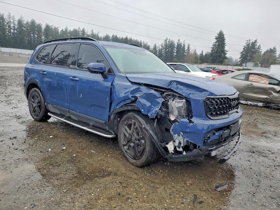 Продажа на аукционе авто 2025 Kia Telluride, vin: 5XYP3DGC8SG615423, номер лота: 46056376