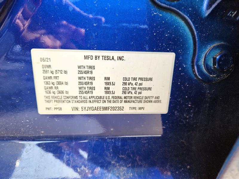46036726 :رقم المزاد ، 5YJYGAEE9MF202352 vin ، 2021 Tesla Model Y مزاد بيع