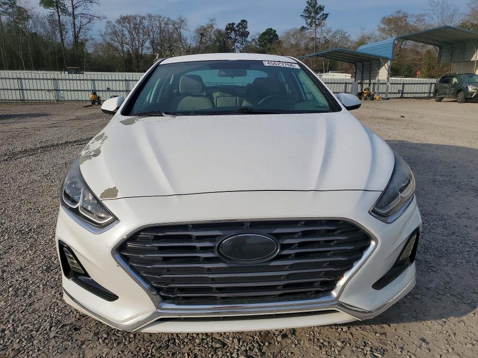 Продаж на аукціоні авто 2019 Hyundai Sonata, vin: 5NPE24AF3KH814918, номер лоту: 45623766