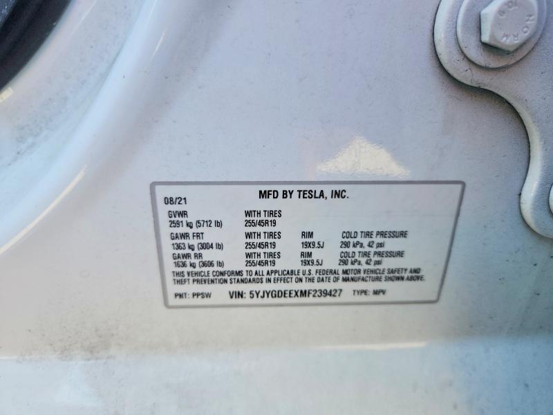 79578575 :رقم المزاد ، 5YJYGDEEXMF239427 vin ، 2021 Tesla Model Y مزاد بيع