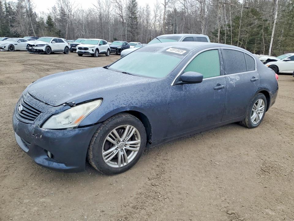 Auction sale of the 2010 Infiniti G37x, vin: JN1CV6ARXAM456647, lot number: 45918926