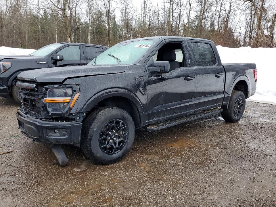 Продажа на аукционе авто 2024 Ford F150, vin: 1FTEW3LP1RKD11324, номер лота: 41886446