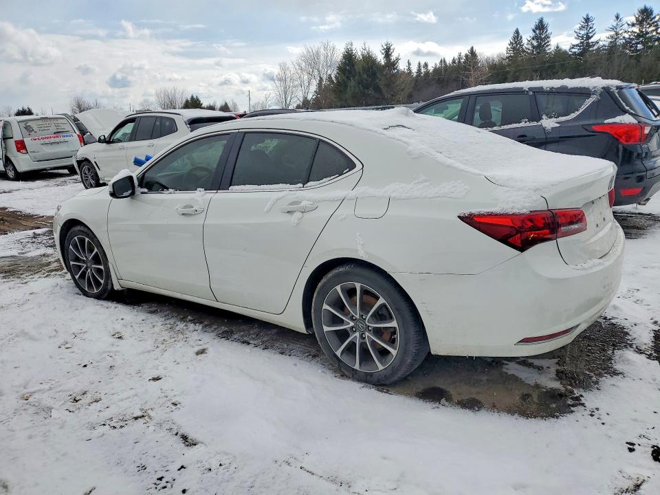 46201636 :رقم المزاد ، 19UUB2F52FA800636 vin ، 2015 Acura Tlx مزاد بيع