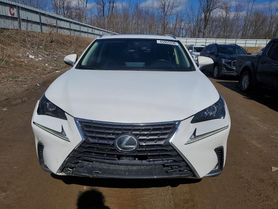 45955356 :رقم المزاد ، JTJBARBZ4K2187155 vin ، 2019 Lexus Nx 300 مزاد بيع