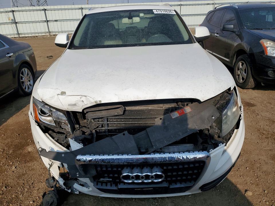 Продаж на аукціоні авто 2009 Audi Q5, vin: WA1KK78R49A021269, номер лоту: 47910636