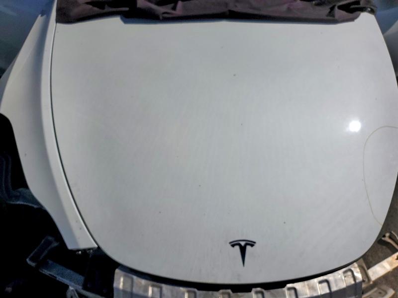 41962066 :رقم المزاد ، 5YJYGDEE3MF090942 vin ، 2021 Tesla Model Y مزاد بيع