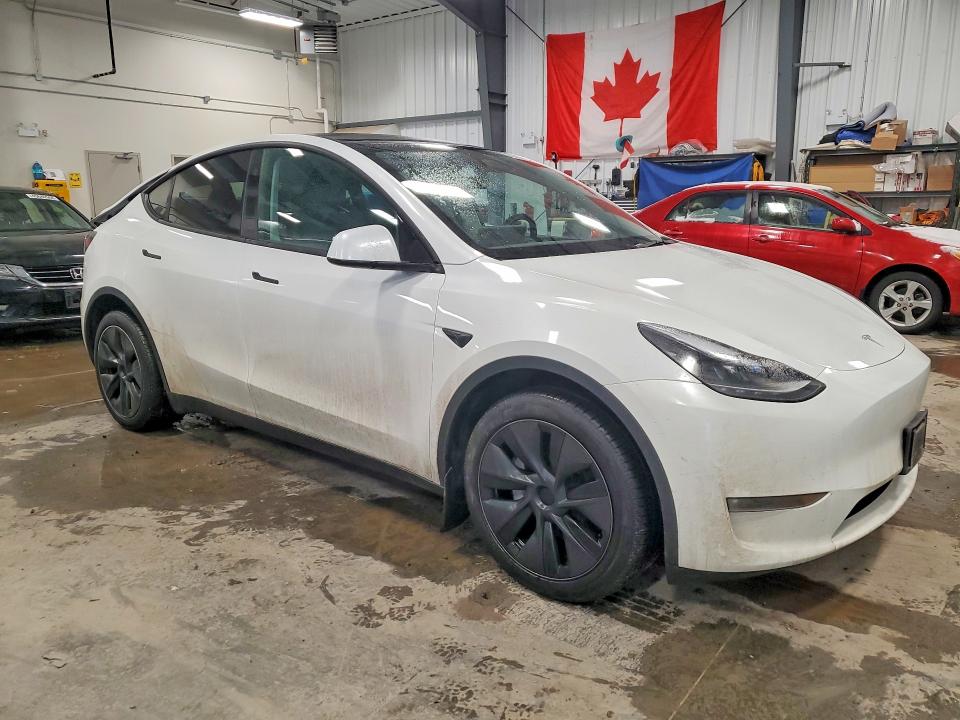 Продаж на аукціоні авто 2025 Tesla Model Y, vin: 7SAYGDEE6SF275356, номер лоту: 46635116