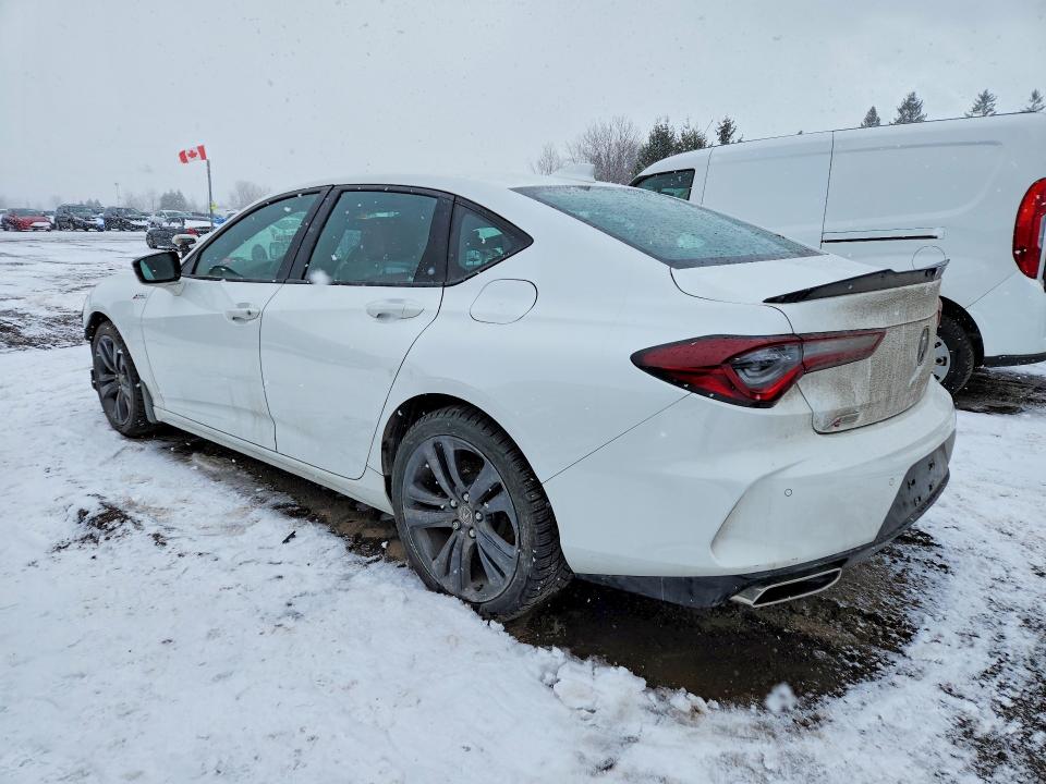 45948446 :رقم المزاد ، 19UUB6F55PA800073 vin ، 2023 Acura Tlx مزاد بيع