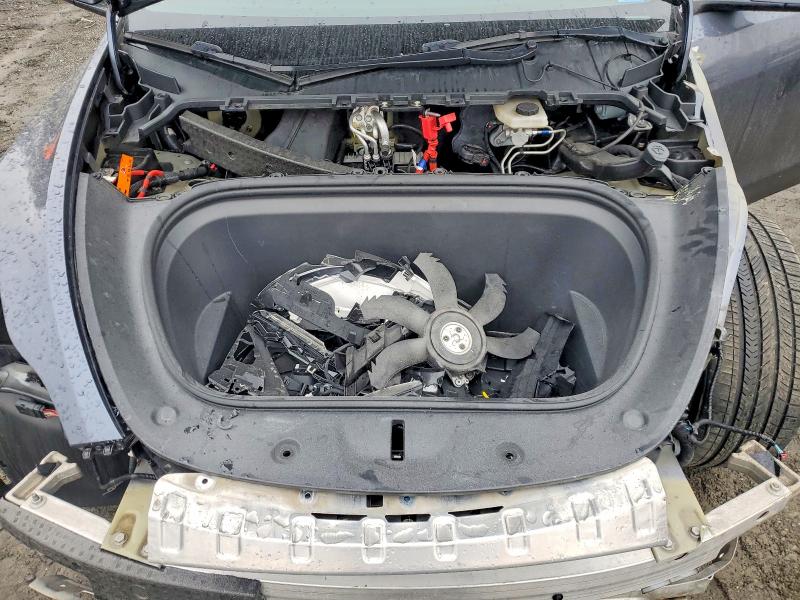 Aukcja sprzedaży 2023 Tesla Model Y, vin: 7SAYGDEF7PF588190, numer aukcji: 41799326