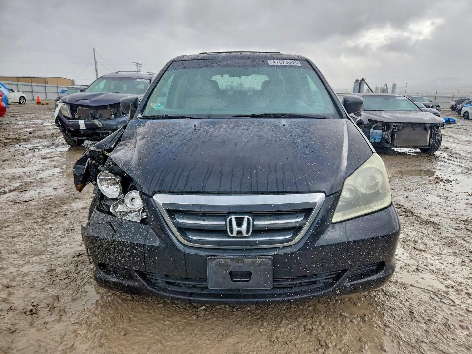 Продажа на аукционе авто 2007 Honda Odyssey, vin: 5FNRL38697B141363, номер лота: 41673696