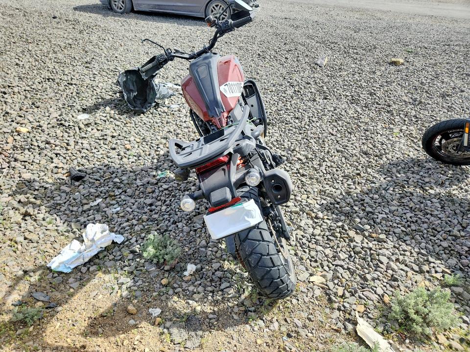 Продажа на аукционе авто 2024 Harley Davidson Ra1250, vin: 1HD1ZES23RB303621, номер лота: 48705026