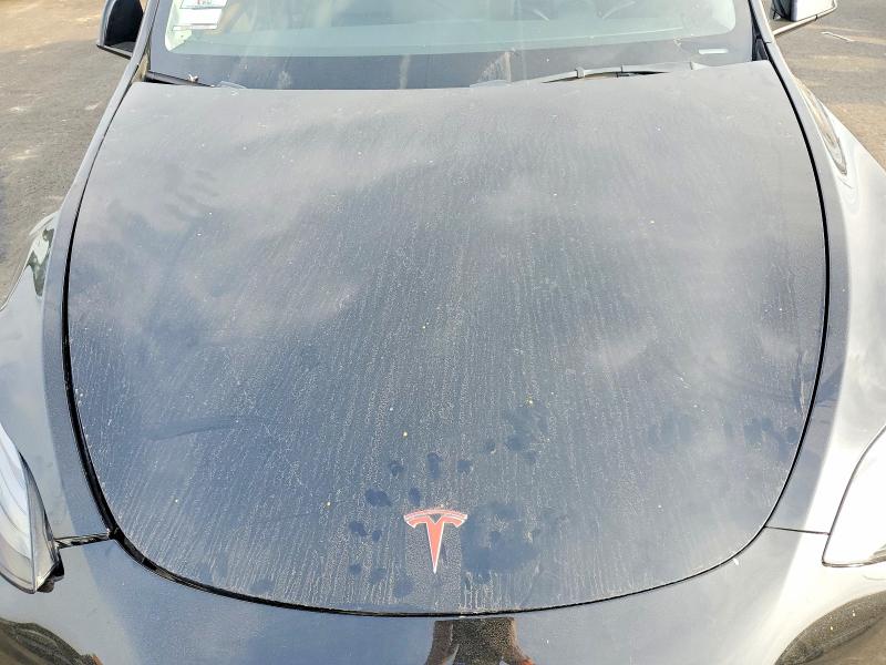 Продаж на аукціоні авто 2023 Tesla Model Y, vin: 7SAYGDEF5PF617895, номер лоту: 79486615