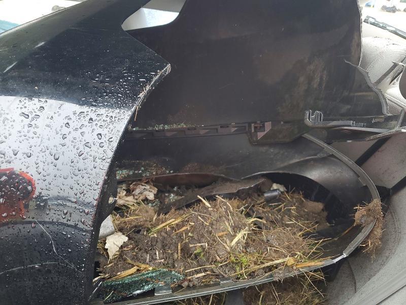 Aukcja sprzedaży 2007 Hyundai Azera, vin: KMHFC46F17A143155, numer aukcji: 79743935