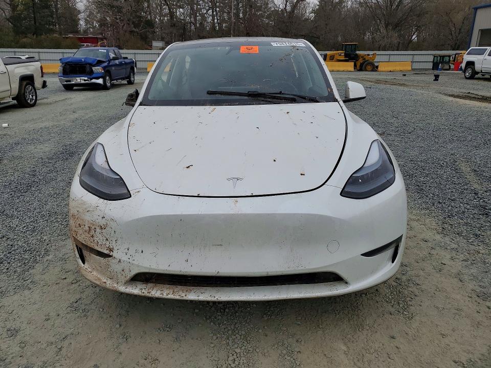 Продаж на аукціоні авто 2024 Tesla Model Y, vin: 7SAYGAEE8RF191631, номер лоту: 79474815