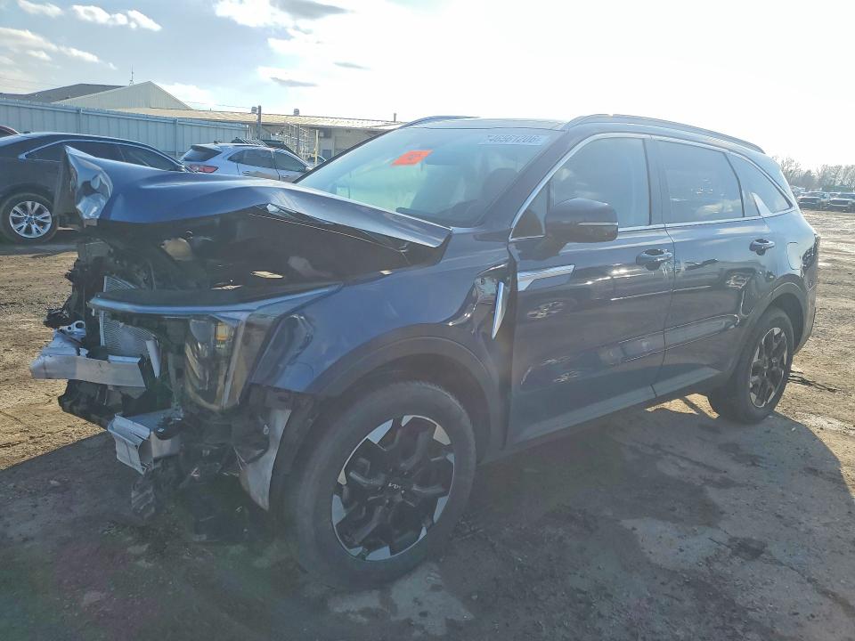 Aukcja sprzedaży 2024 Kia Sorento, vin: 5XYRLDJC6RG288418, numer aukcji: 46561206