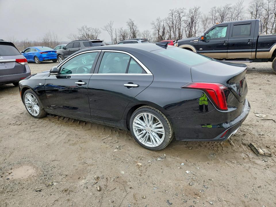 Продаж на аукціоні авто 2023 Cadillac Ct4, vin: 1G6DF5RK5P0131956, номер лоту: 41736626