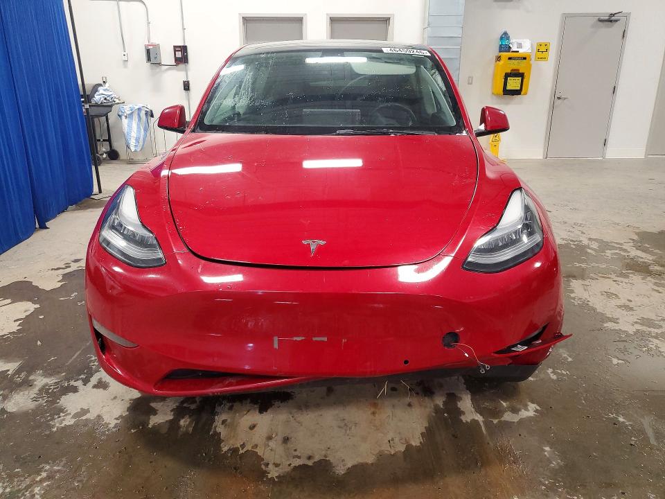 46459246 :رقم المزاد ، 5YJYGDEE9MF297500 vin ، 2021 Tesla Model Y مزاد بيع