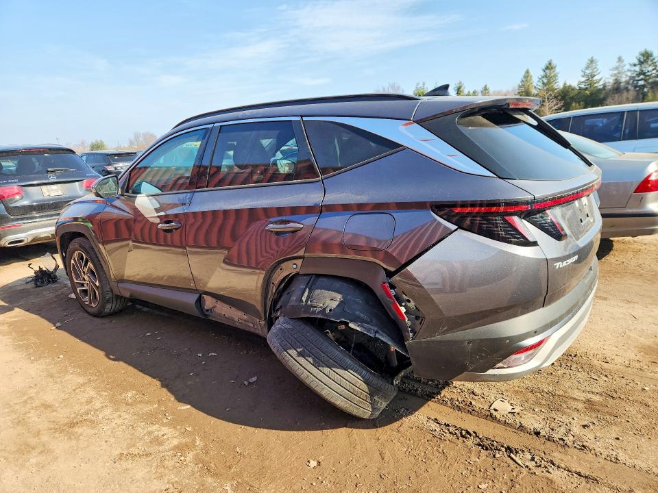 Продаж на аукціоні авто 2025 Hyundai Tucson, vin: KM8JDDD21SU358243, номер лоту: 46305526