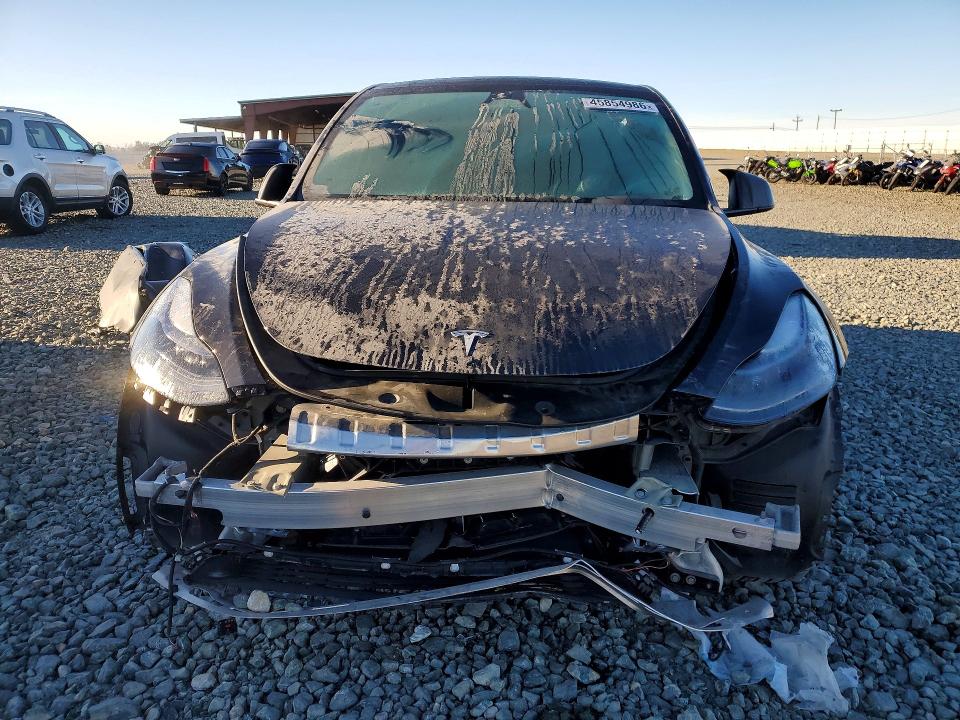 Продаж на аукціоні авто 2024 Tesla Model Y, vin: 7SAYGDEE7RF013565, номер лоту: 45854986