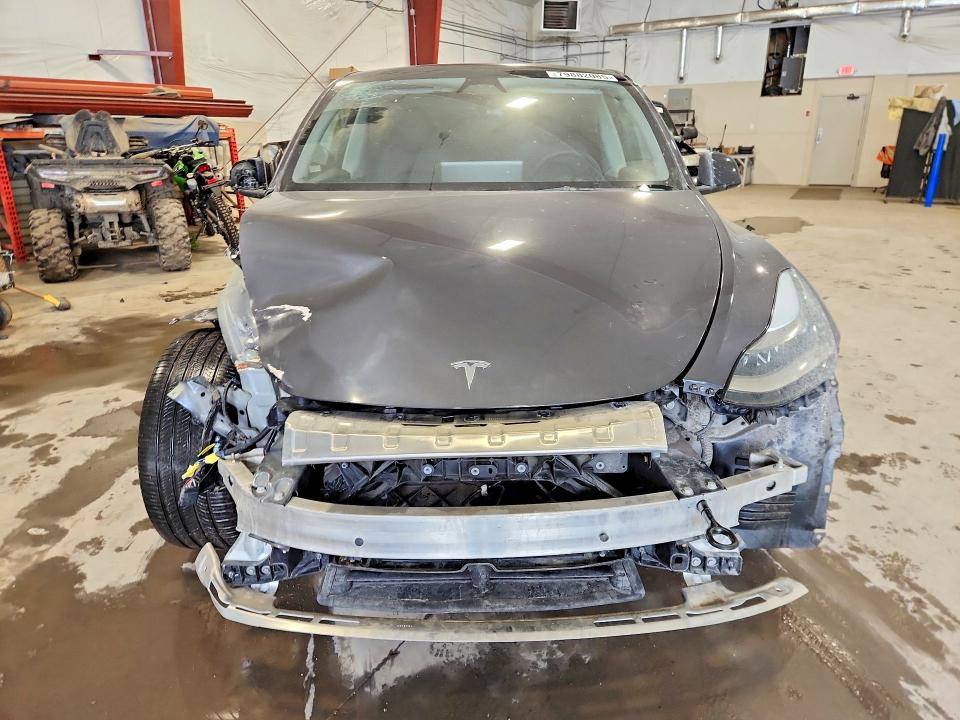 Aukcja sprzedaży 2023 Tesla Model Y, vin: 7SAYGDEE6PA174600, numer aukcji: 79882085