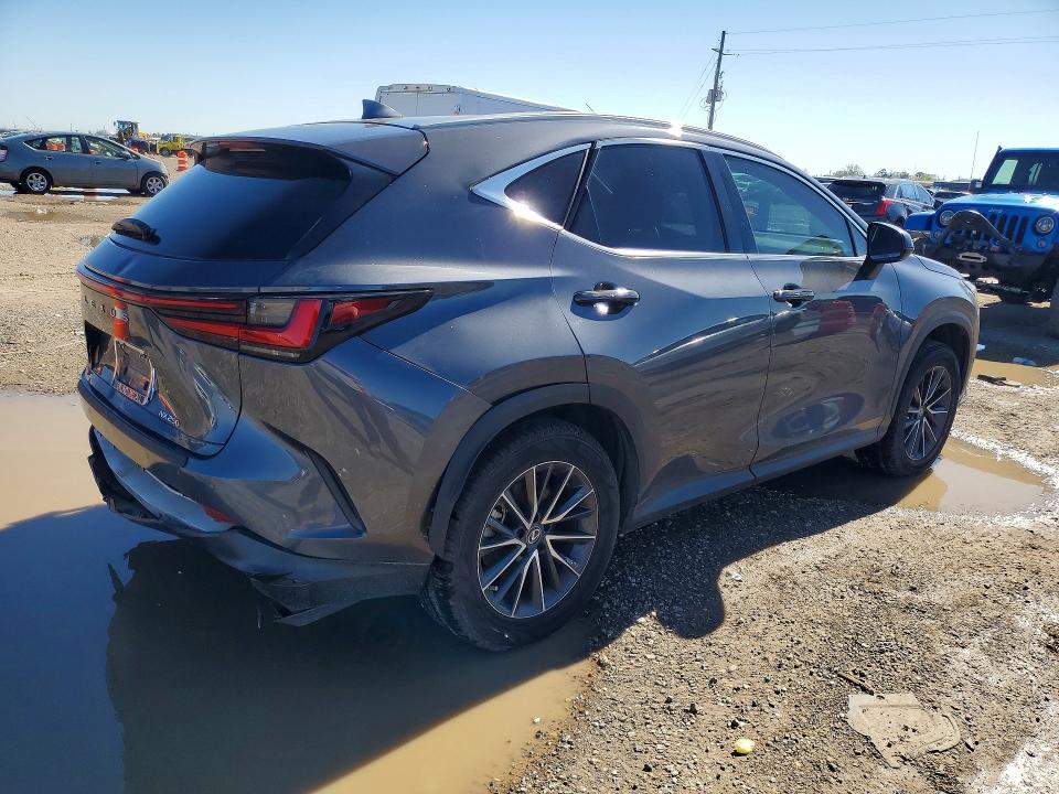 Продаж на аукціоні авто 2023 Lexus Nx 250, vin: 2T2GDCAZ5PC005174, номер лоту: 46107036