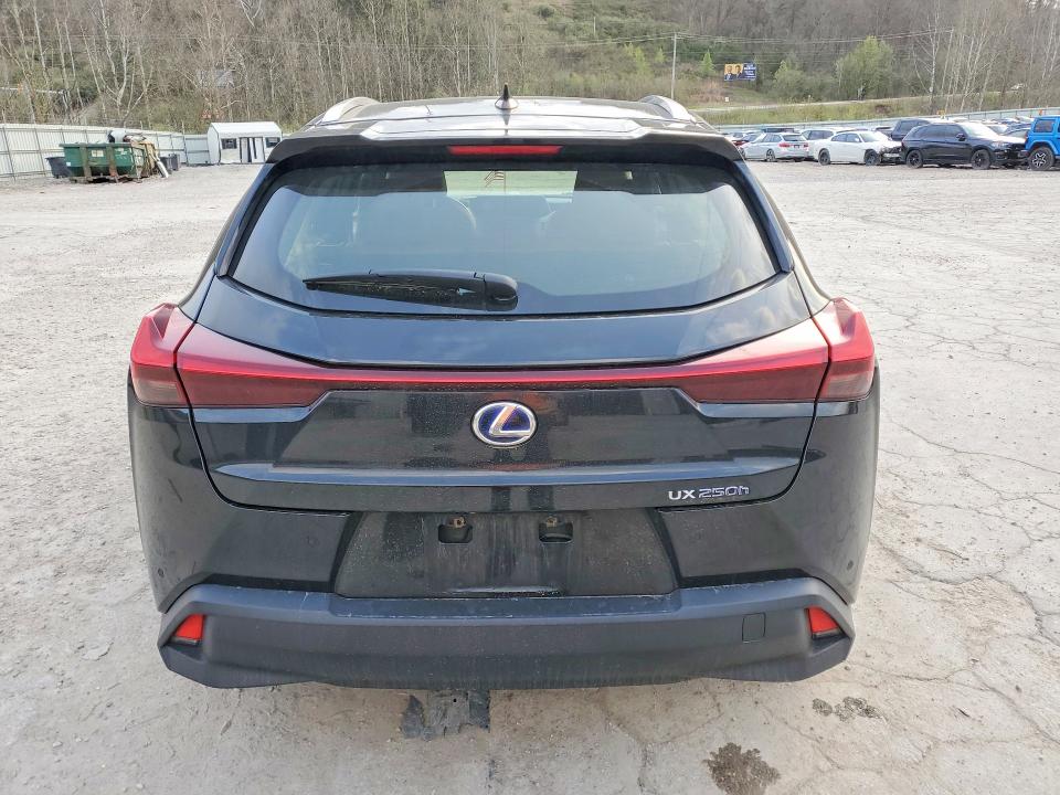 Aukcja sprzedaży 2020 Lexus Ux 250h, vin: JTHP9JBHXL2034029, numer aukcji: 48180676