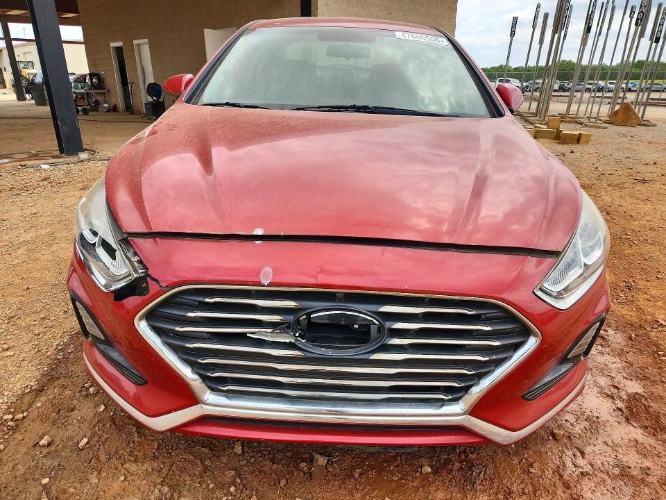 47686506 :رقم المزاد ، 5NPE24AF6KH794891 vin ، 2019 Hyundai Sonata مزاد بيع