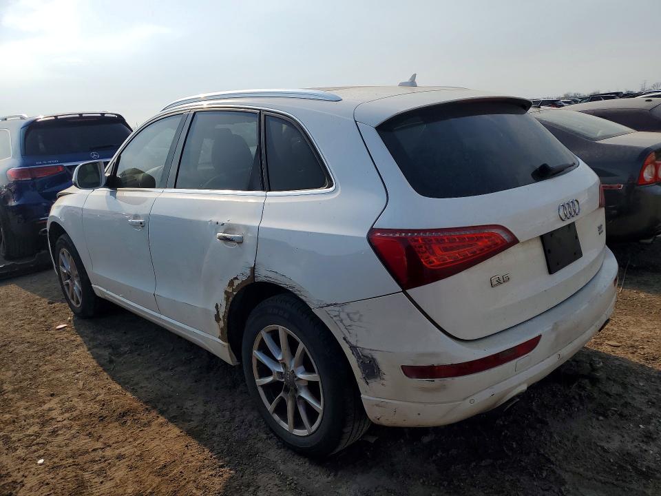 Продаж на аукціоні авто 2009 Audi Q5, vin: WA1KK78R49A021269, номер лоту: 47910636