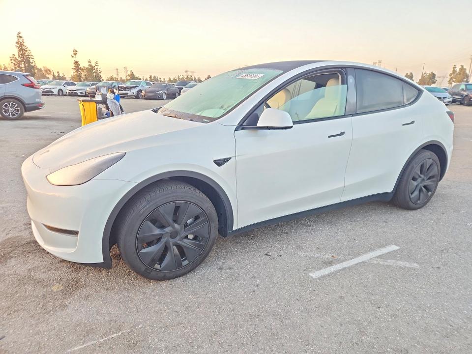 45616186 :رقم المزاد ، 7SAYGDED8RF154488 vin ، 2024 Tesla Model Y مزاد بيع