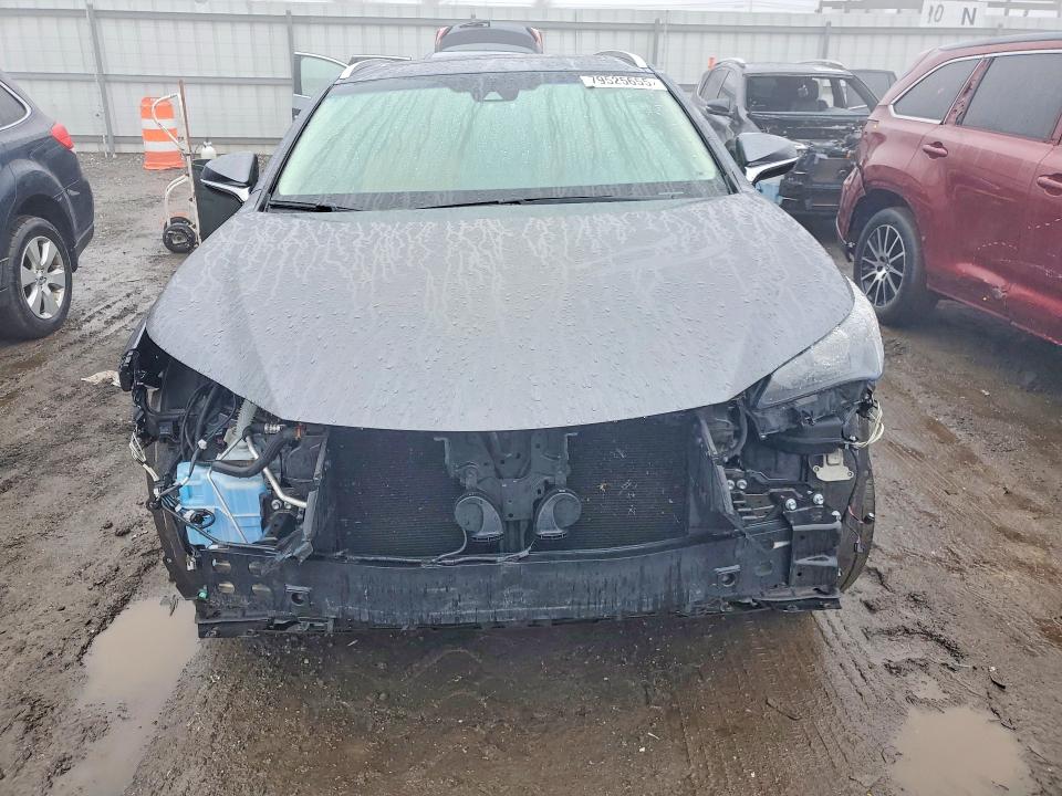 Aukcja sprzedaży 2019 Lexus Nx 300, vin: JTJBARBZ1K2188831, numer aukcji: 79525655