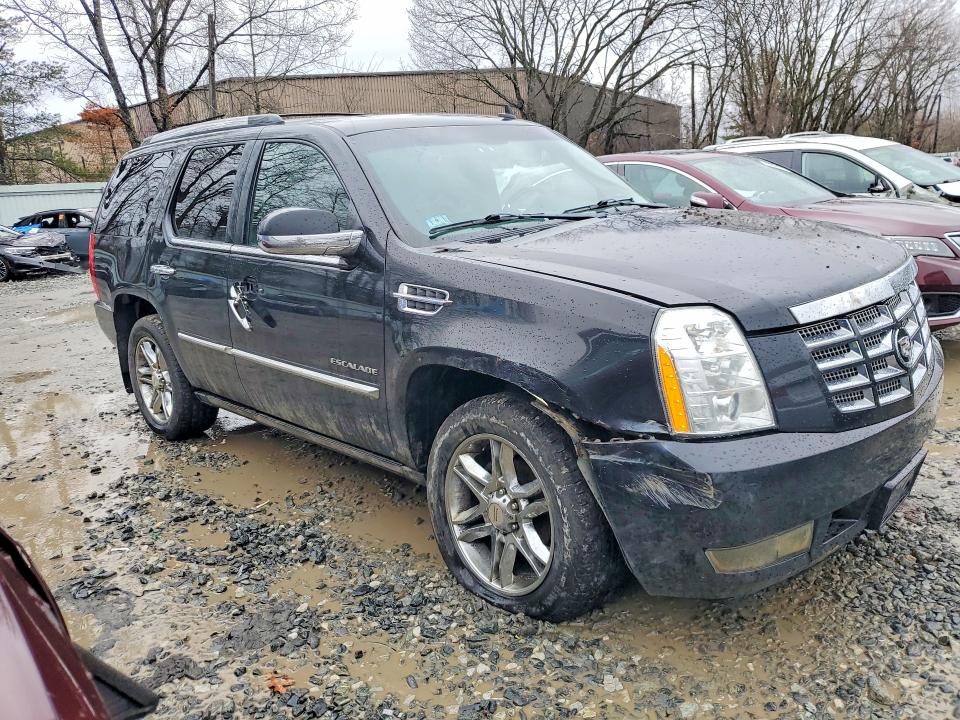 Продаж на аукціоні авто 2011 Cadillac Escalade, vin: 1GYS4CEF2BR117504, номер лоту: 45749136