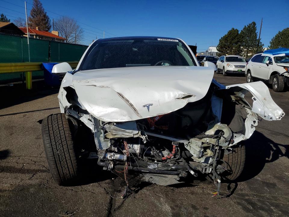 Продажа на аукционе авто 2024 Tesla Model Y, vin: 7SAYGDEE1RF151425, номер лота: 79486755